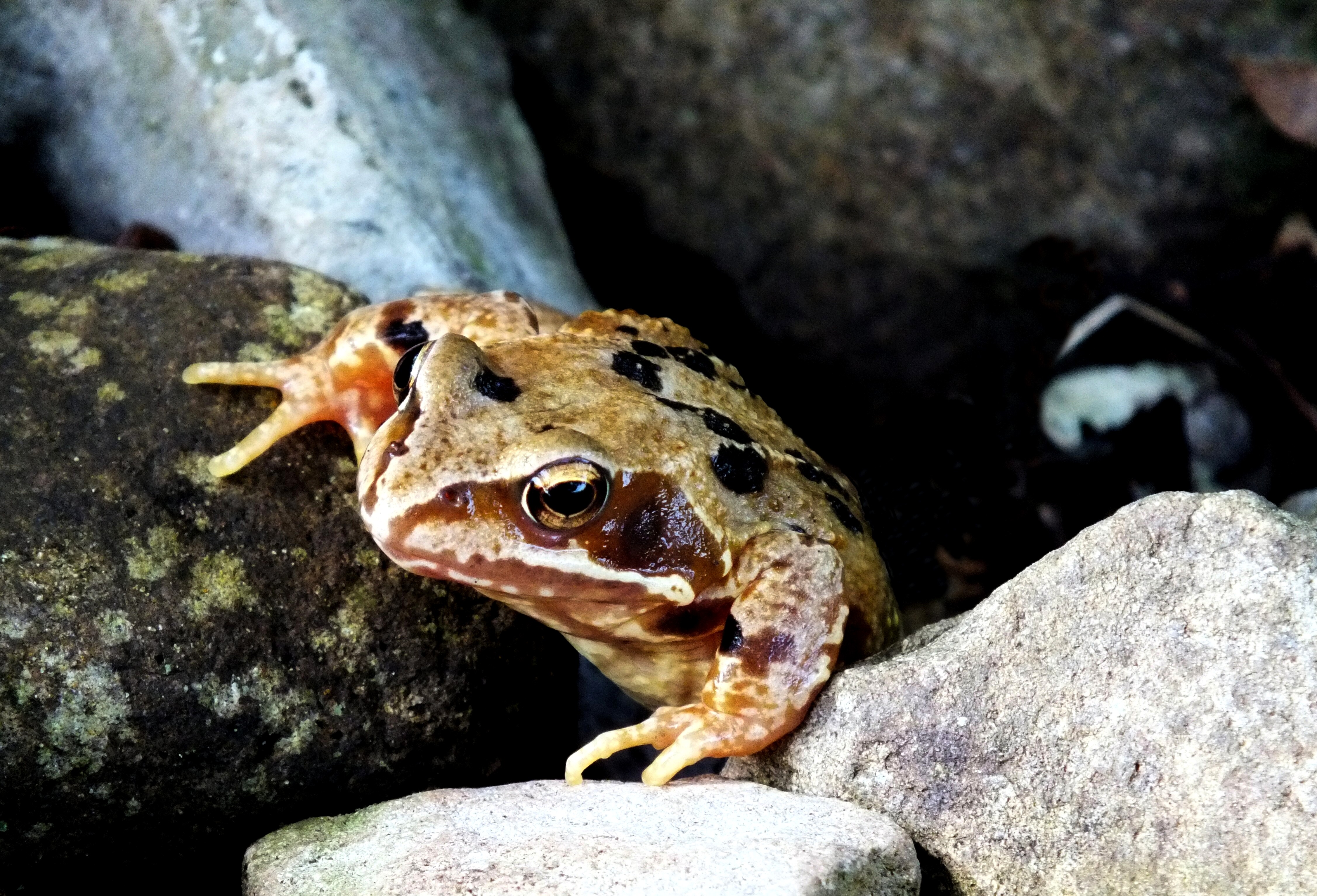 HOLD ON I'M COMING OUT Bill Bagley Photography